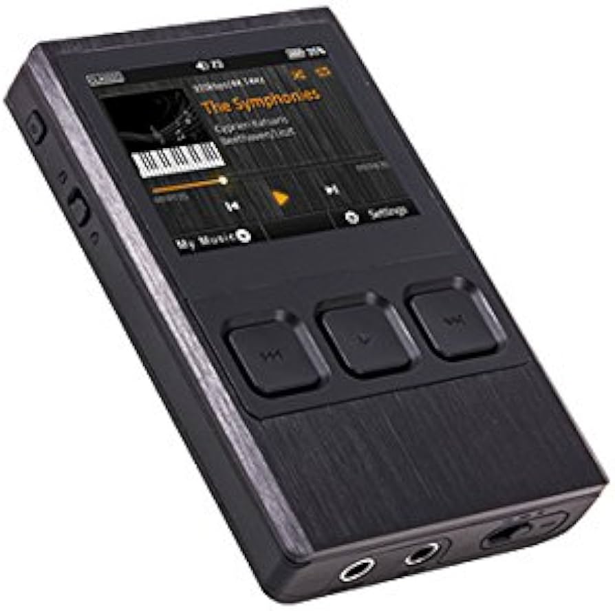 フラワーB ブルーグレイ ibasso DX90 デジタルオーディオプレーヤー